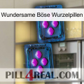 Wundersame Böse Wurzelpillen 03